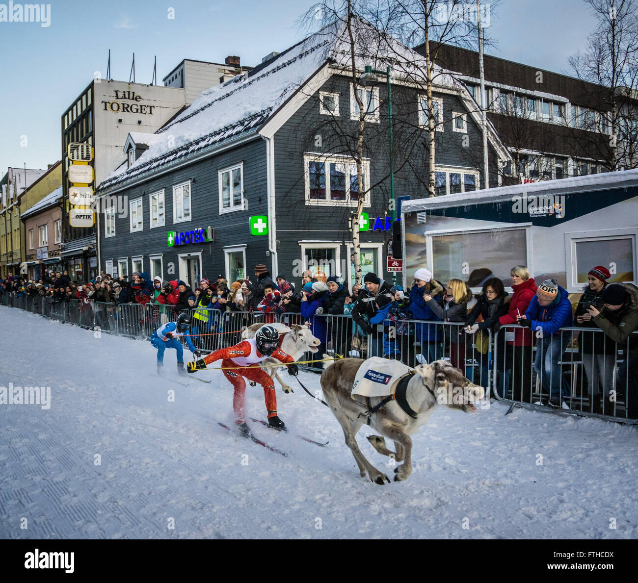 Tromso 2016 course de rennes Banque D'Images