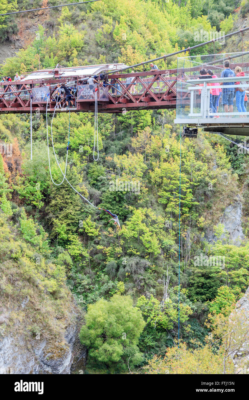 AJ Hackett, Bungy Jump, Kawarau Bridge,Shotover river,,Queenstown Otago,Île du Sud, Nouvelle-Zélande Banque D'Images