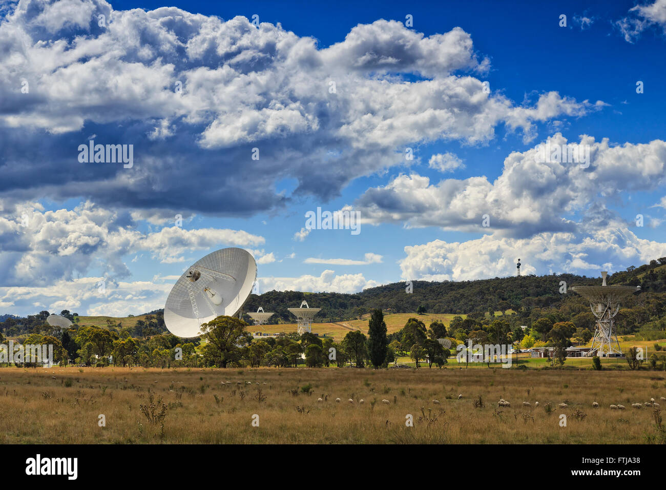 Tableau de l'espace profond des antennes radio à Canberra CSIRO station de communication derrière l'ordinaire, avec les moutons. Banque D'Images