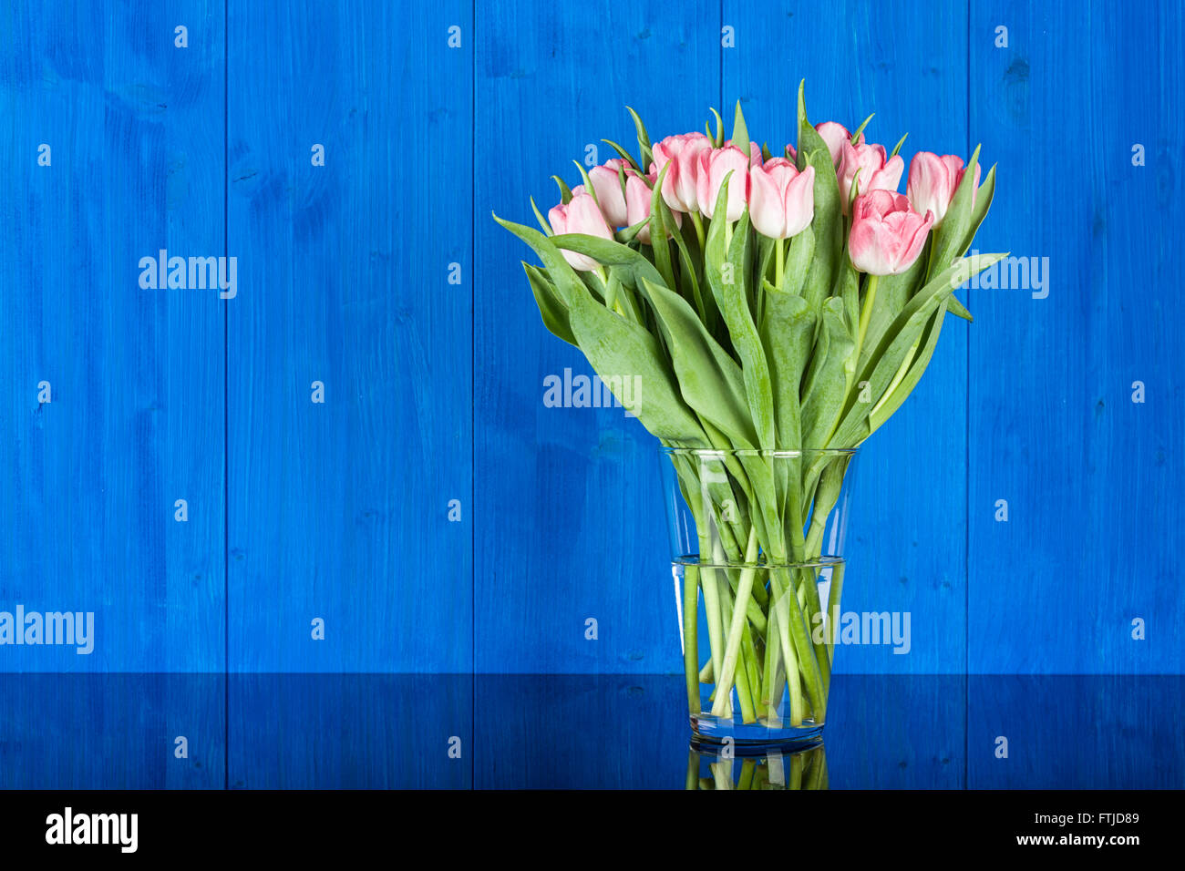 Bouquet de tulipes roses en vase en verre j'avant de mur en bois peint bleu Banque D'Images