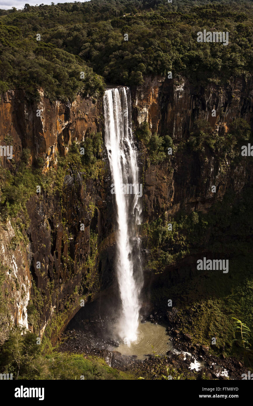 Sautant à San Francisco San Francisco Parc Municipal d'espoir Banque D'Images