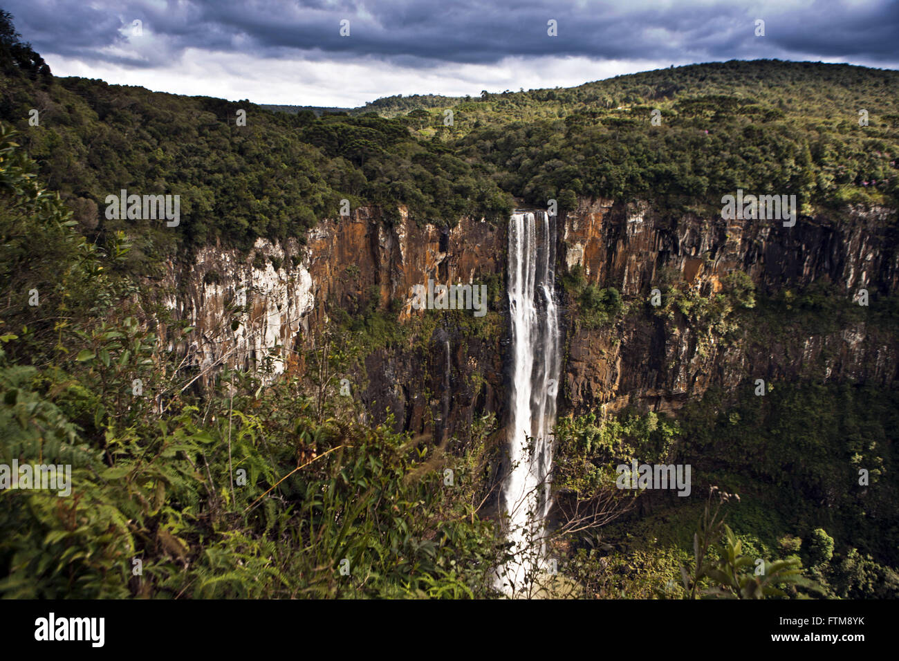 Sautant à San Francisco San Francisco Parc Municipal d'espoir Banque D'Images
