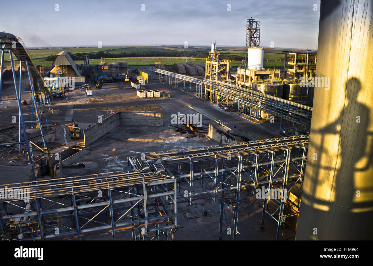 Usine de production de cellulose Banque D'Images
