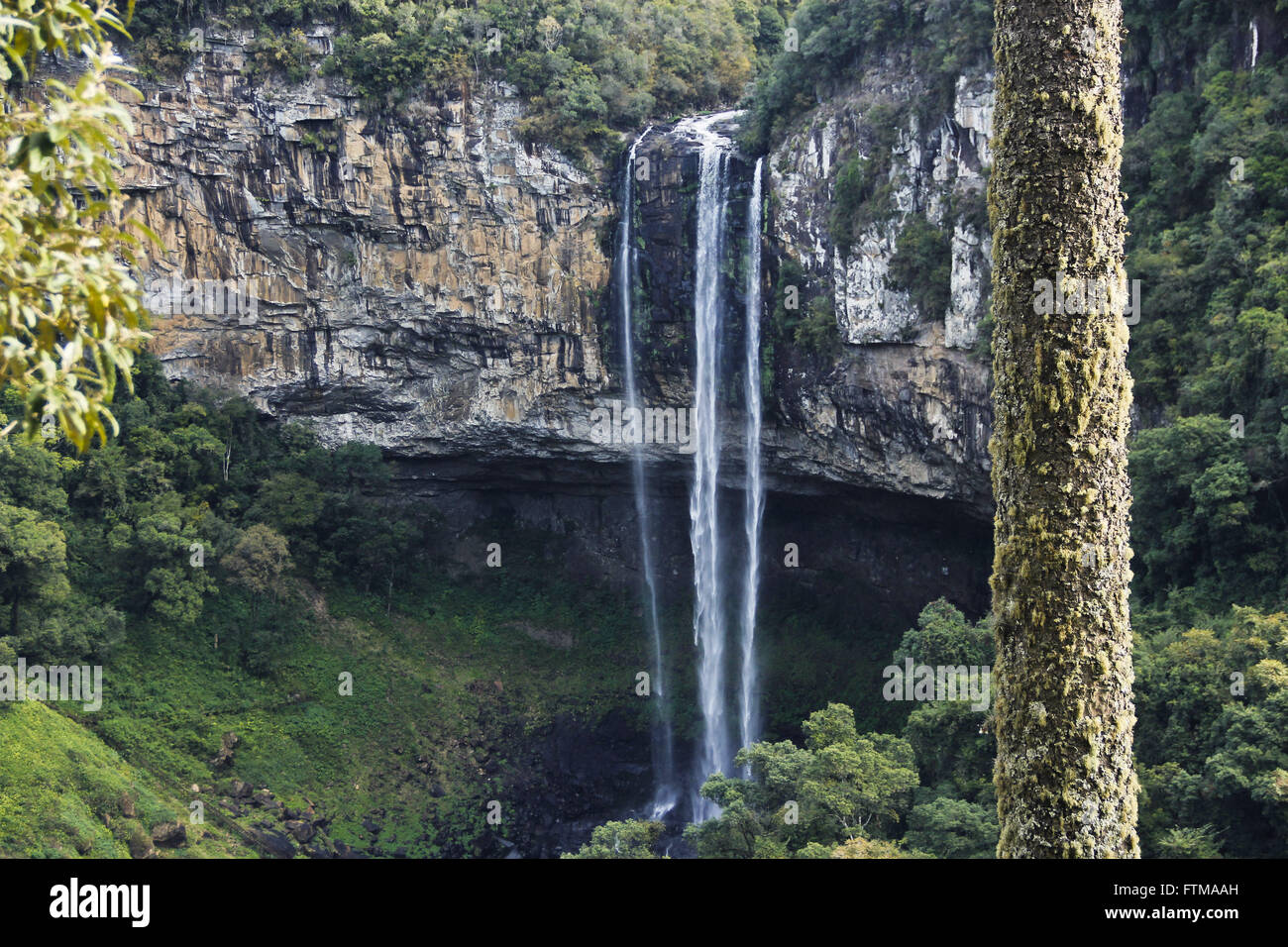 Vue de la cascade Caracol - Parc Estadual do Caracol à Serra Gaucha Banque D'Images