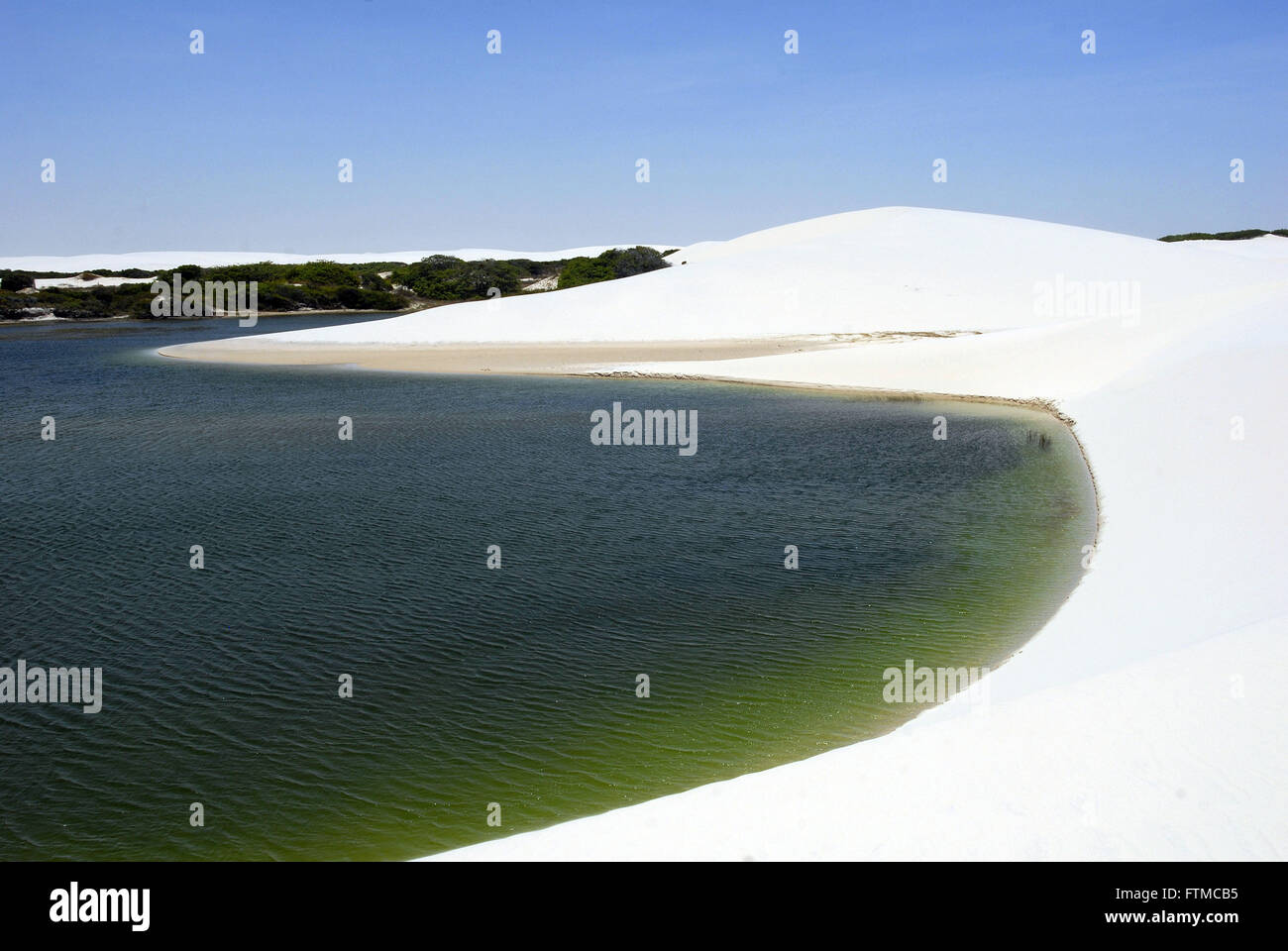 Le Lagoa do Peixe de Parc National Lencois Maranhao Banque D'Images