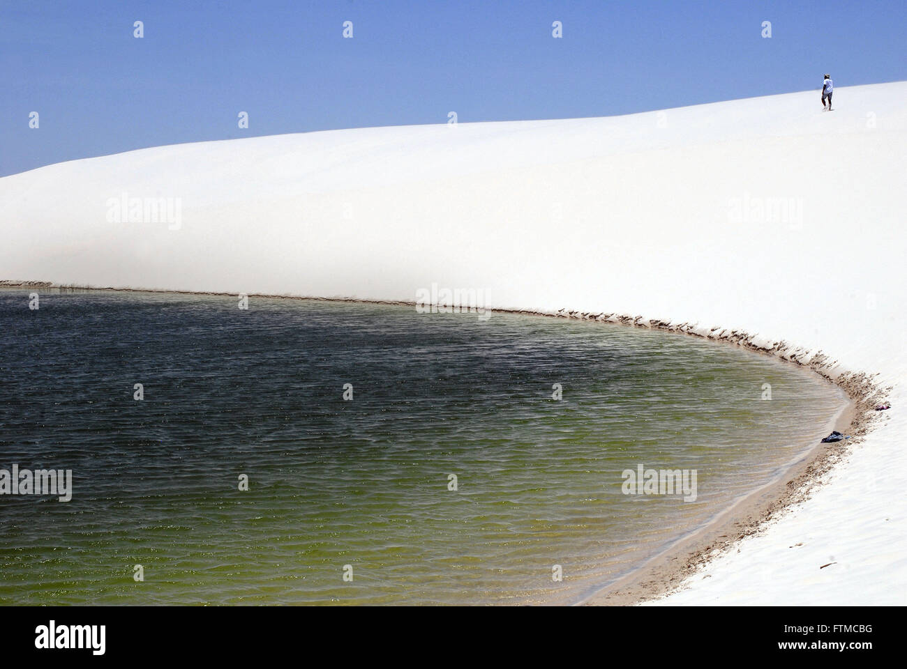 Le Lagoa do Peixe de Parc National Lencois Maranhao Banque D'Images