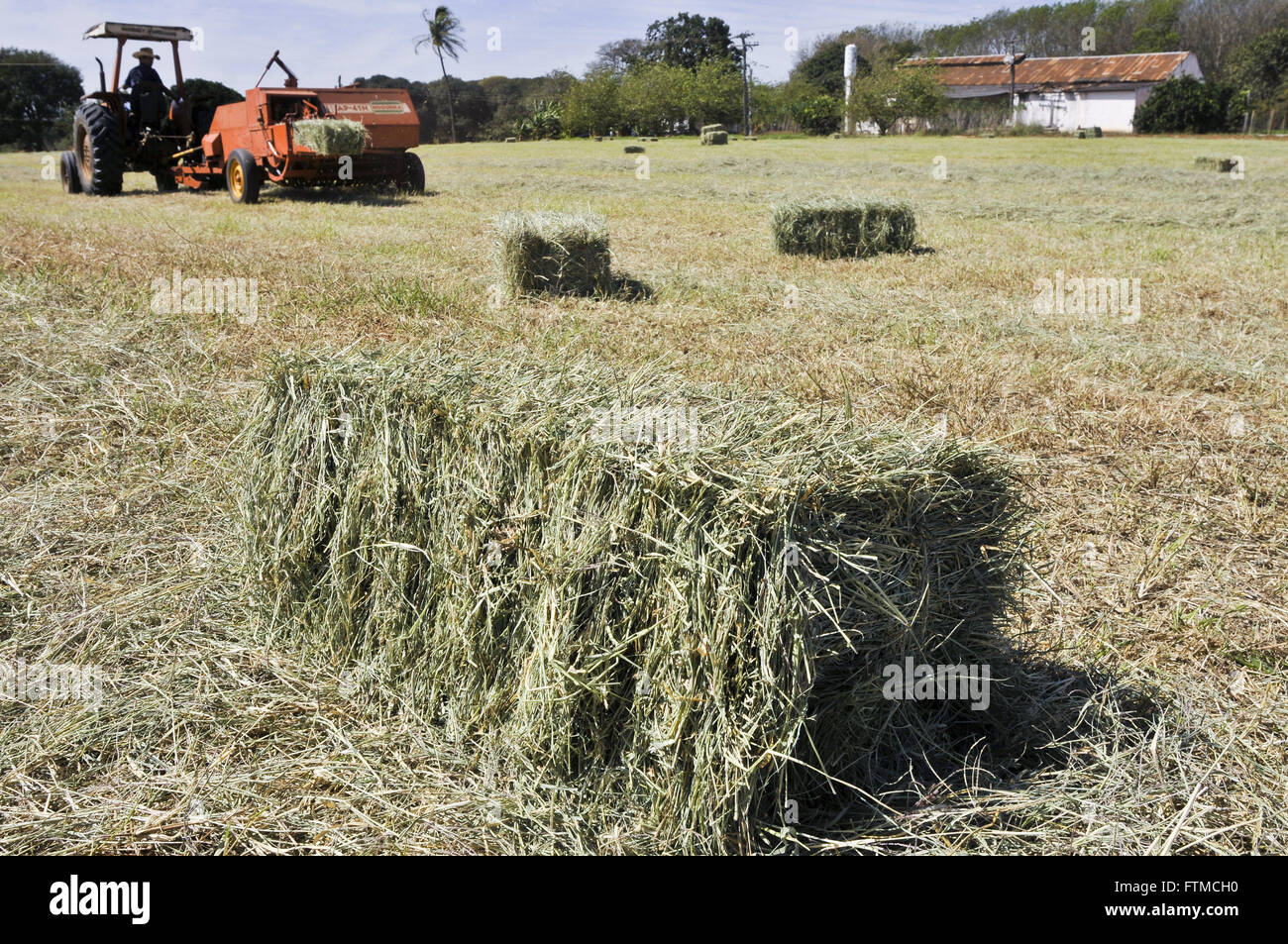 Ferme de la ramasseuse-presse à l'intérieur de São Paulo Banque D'Images