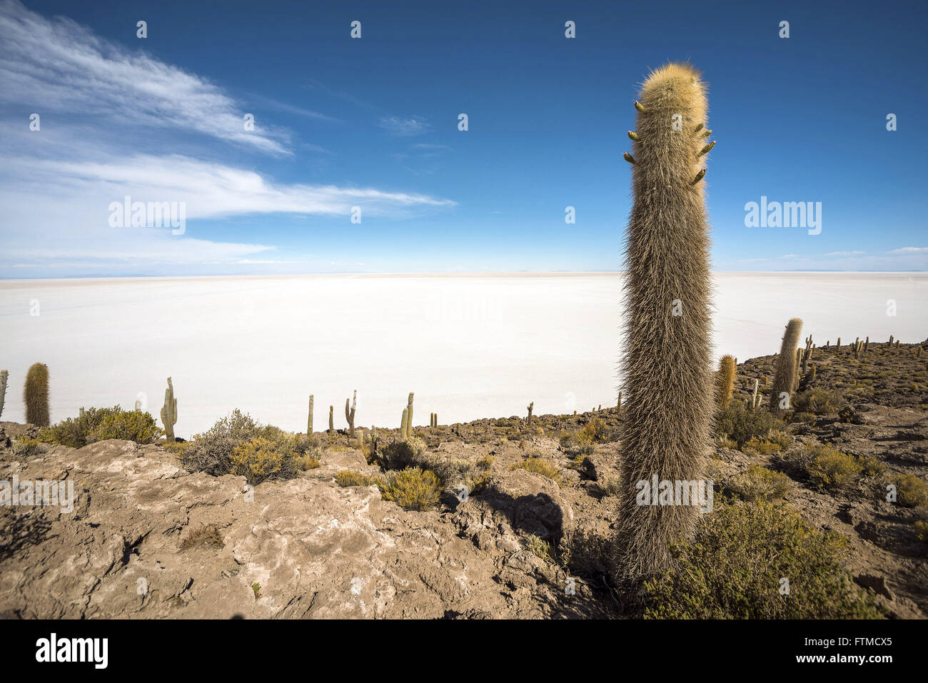 L'île de Incahuasi au centre du Salar de Uyuni situé dans l'altiplano bolivien Banque D'Images