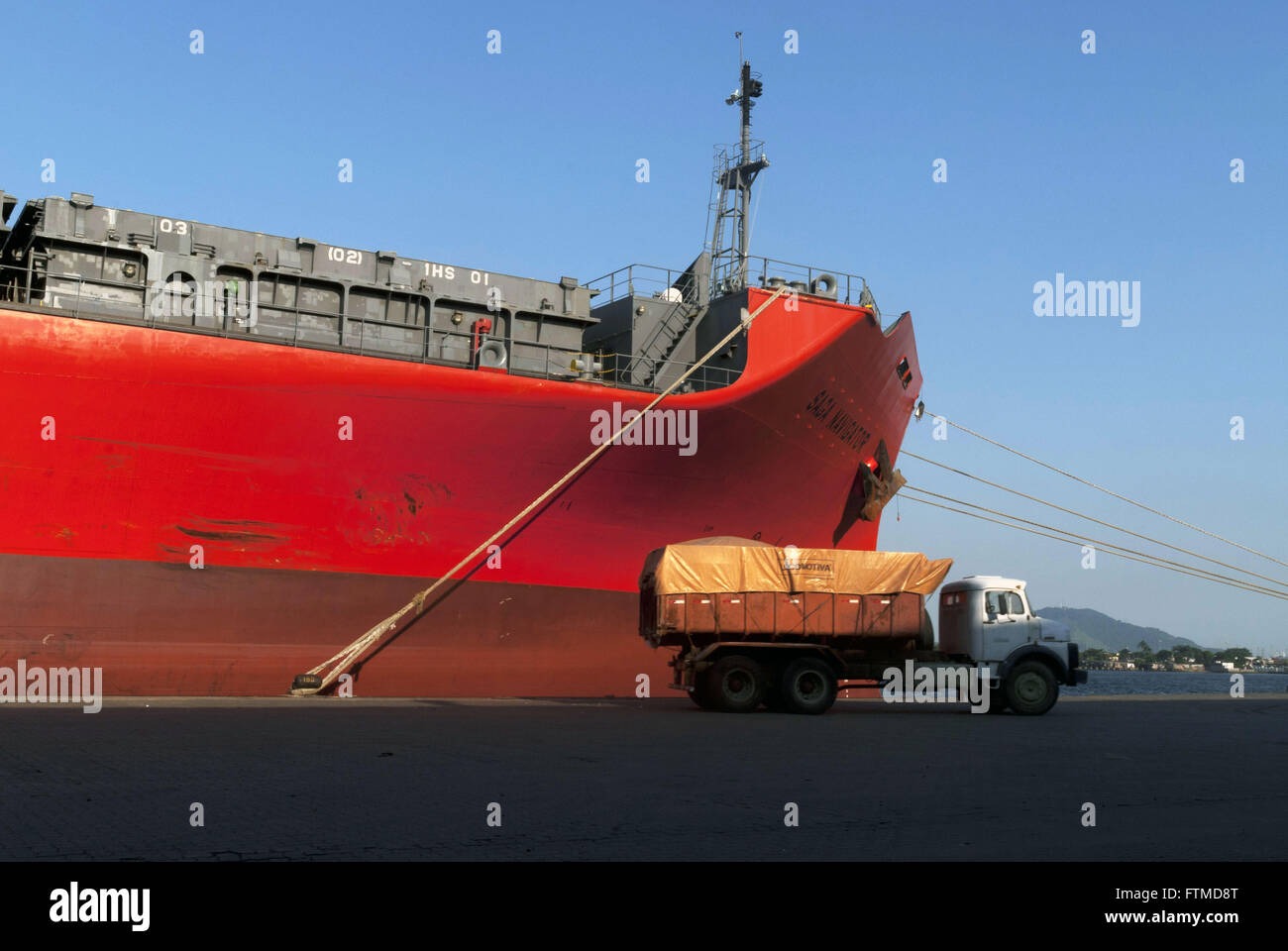 Propriétaire de navires transporteurs forestiers Saga amarré sur le côté du port de Santos Banque D'Images