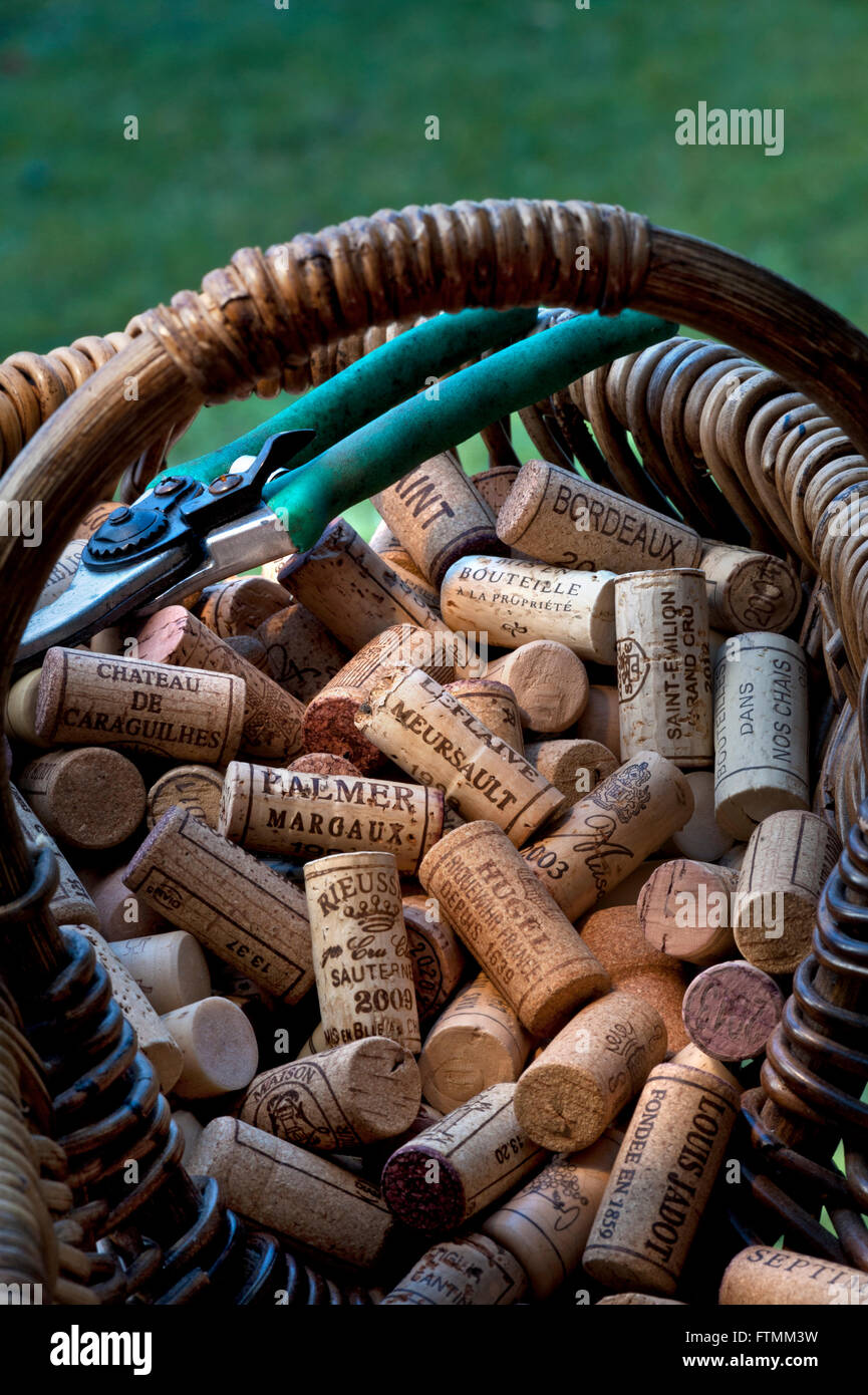 CONCEPT DE BOUCHONS À VIN les préparateurs de raisin français récoltent le panier et les sécateurs avec une sélection de qualité de vins de luxe français régionaux Banque D'Images