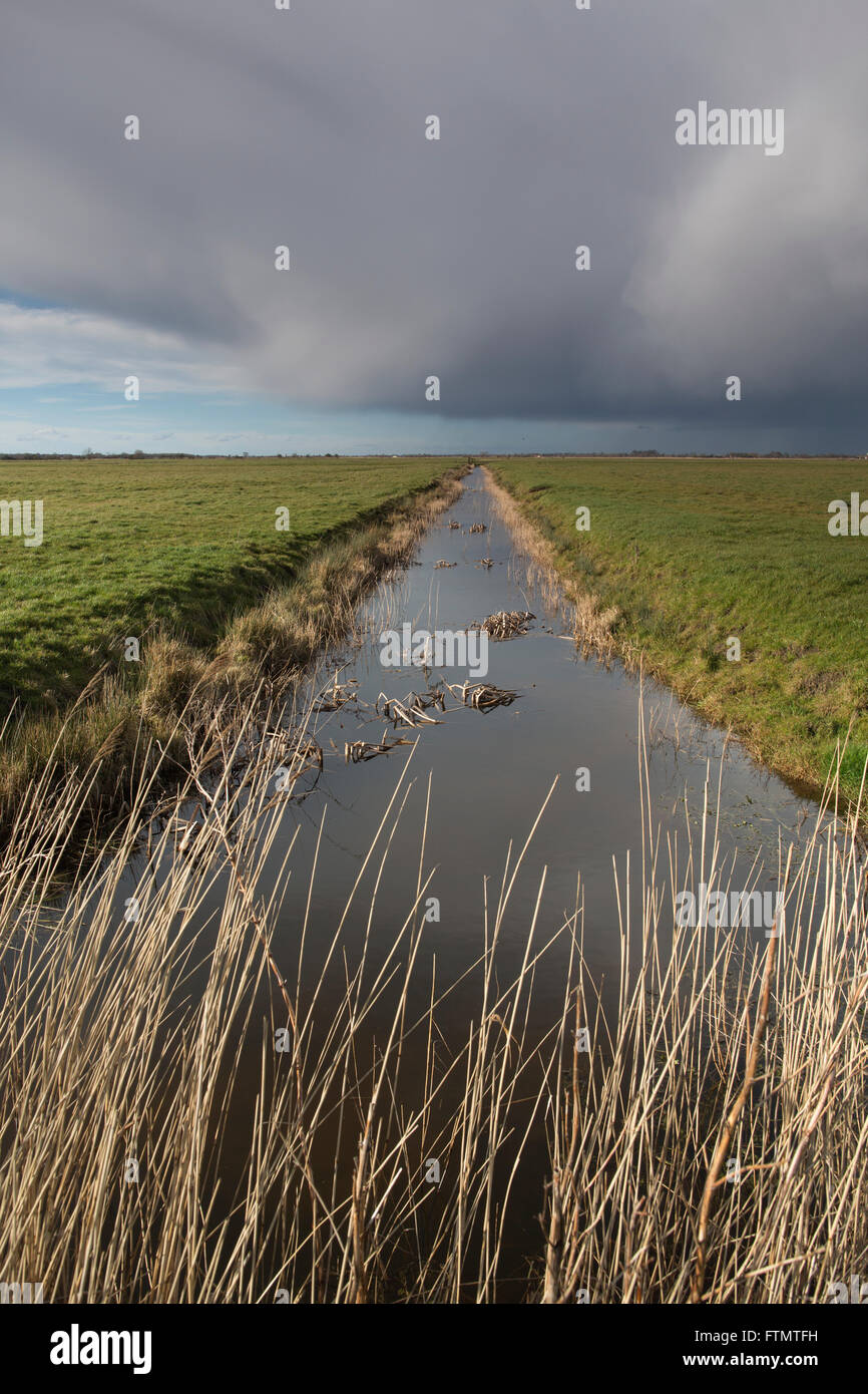 Le Drainage du mouton moulin se dresse en bordure d'une voie navigable à marais Halvergate les Norfolk Broads, East Anglia, Angleterre, RU Banque D'Images