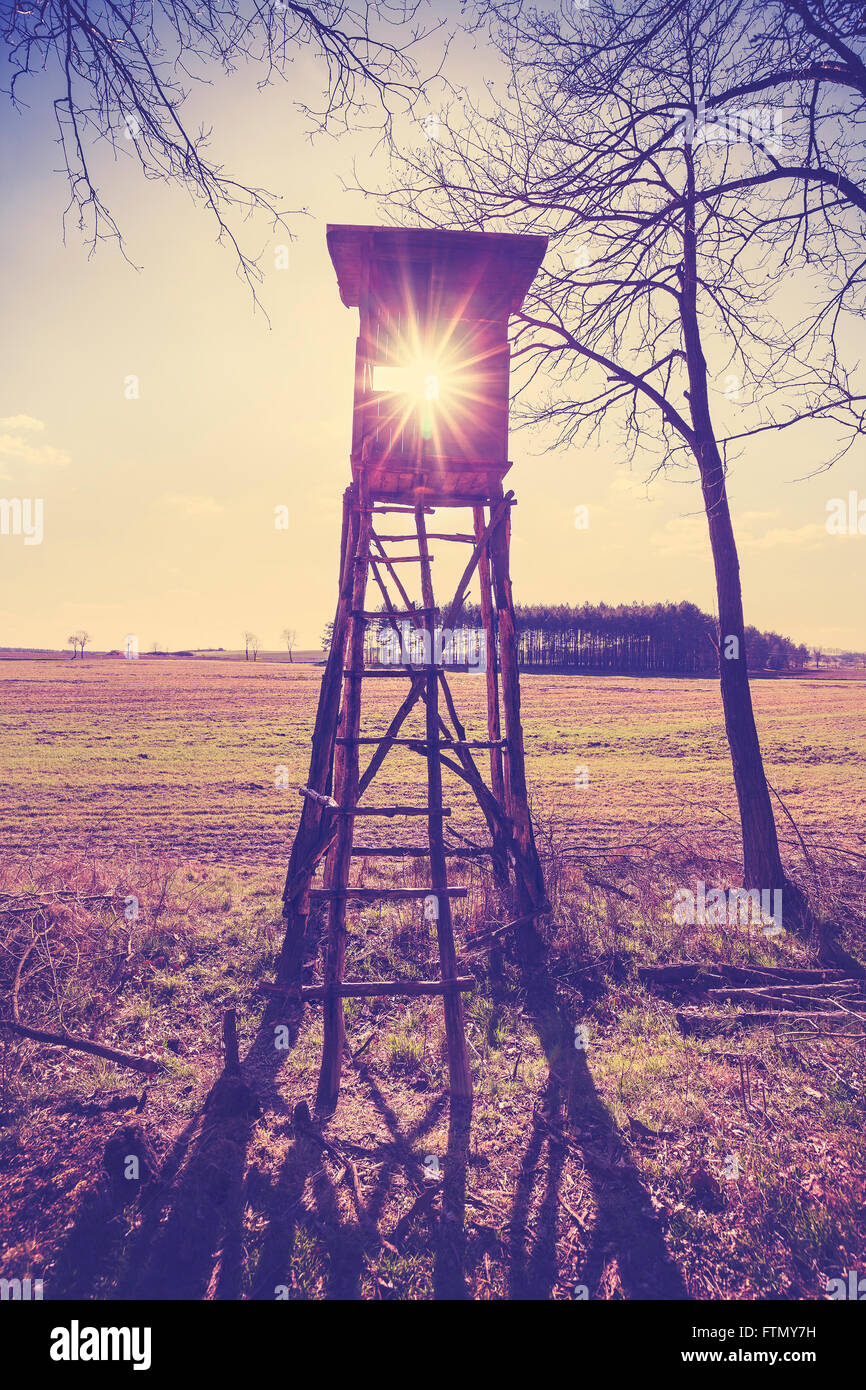 Vieux film stylisé vintage chaire de chasse contre le soleil, la Pologne. Banque D'Images