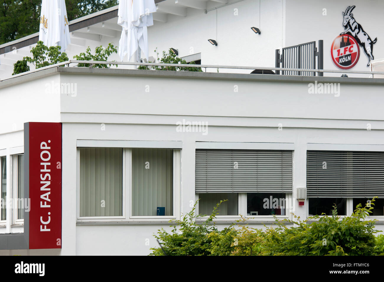 Köln, Köln, Klettenberg, Geissbockheim Clubhaus des 1.FC Köln Franz-Kremer-Allee 1-3, 50937 Kö Banque D'Images