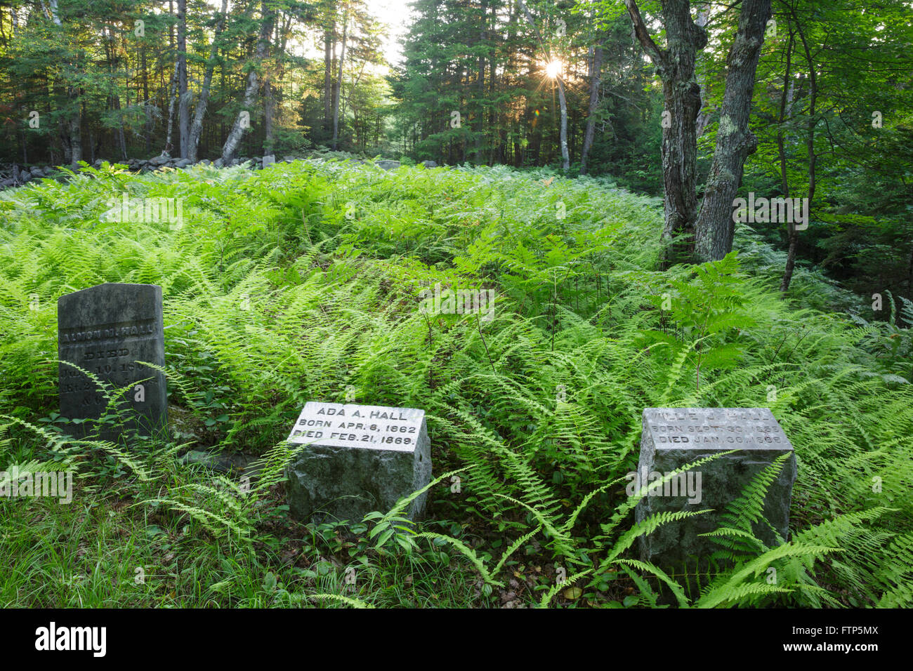 Cimetière le long Gilman-Hall Notch Road en sandwich Sandwich, New Hampshire, USA. Banque D'Images
