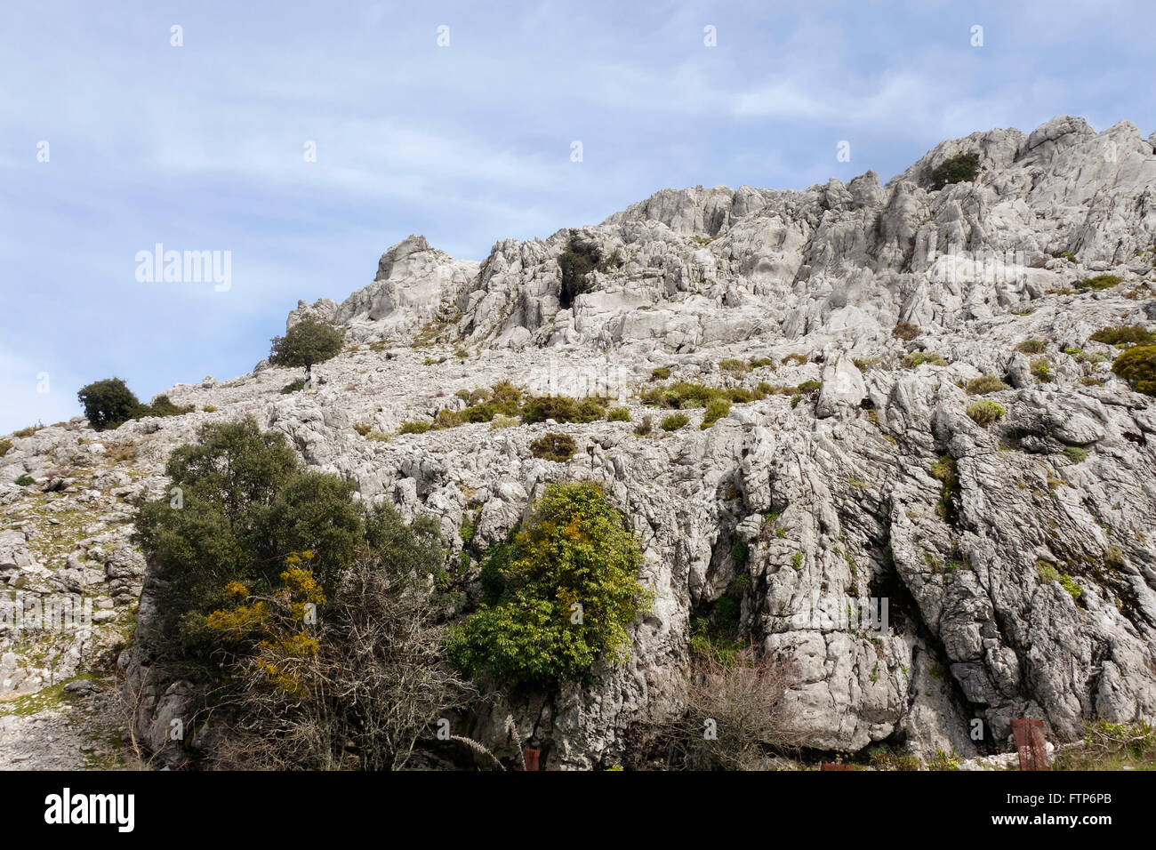 Les montagnes de calcaire karstique à Grazalema, Andalousie, espagne. Banque D'Images