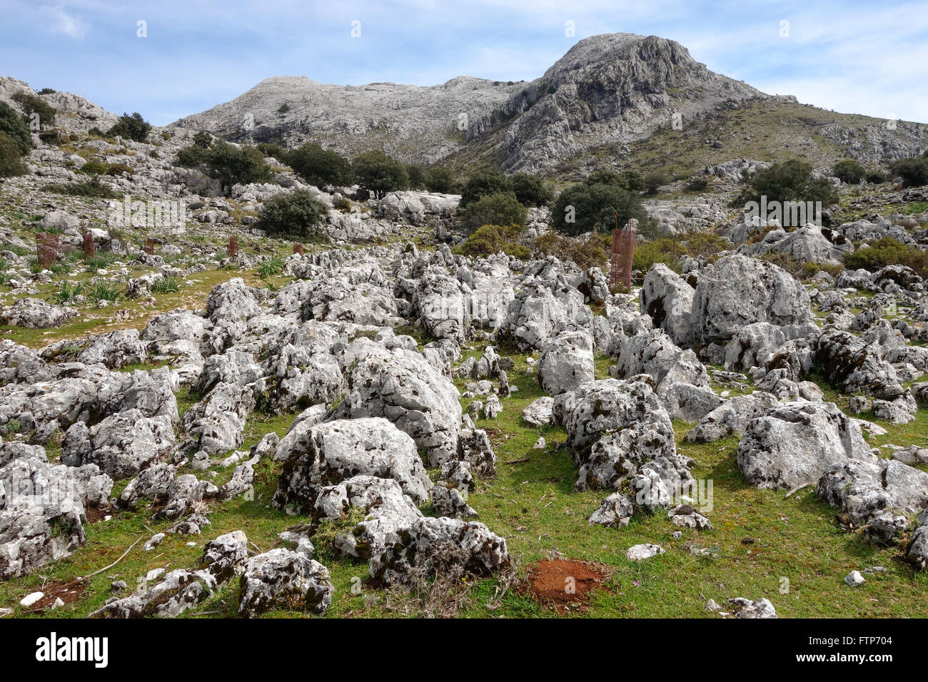 Lapiés ou Lapiaz karstique, surface calcaire érodé, montagnes, Grazalema, Andalousie, espagne. Banque D'Images