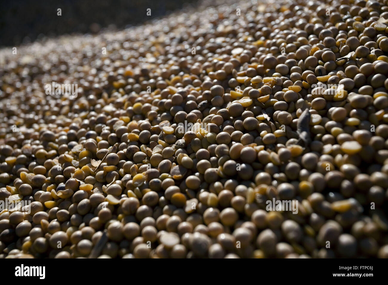 Détail de silo à grains de soja retiré en coopérative Banque D'Images