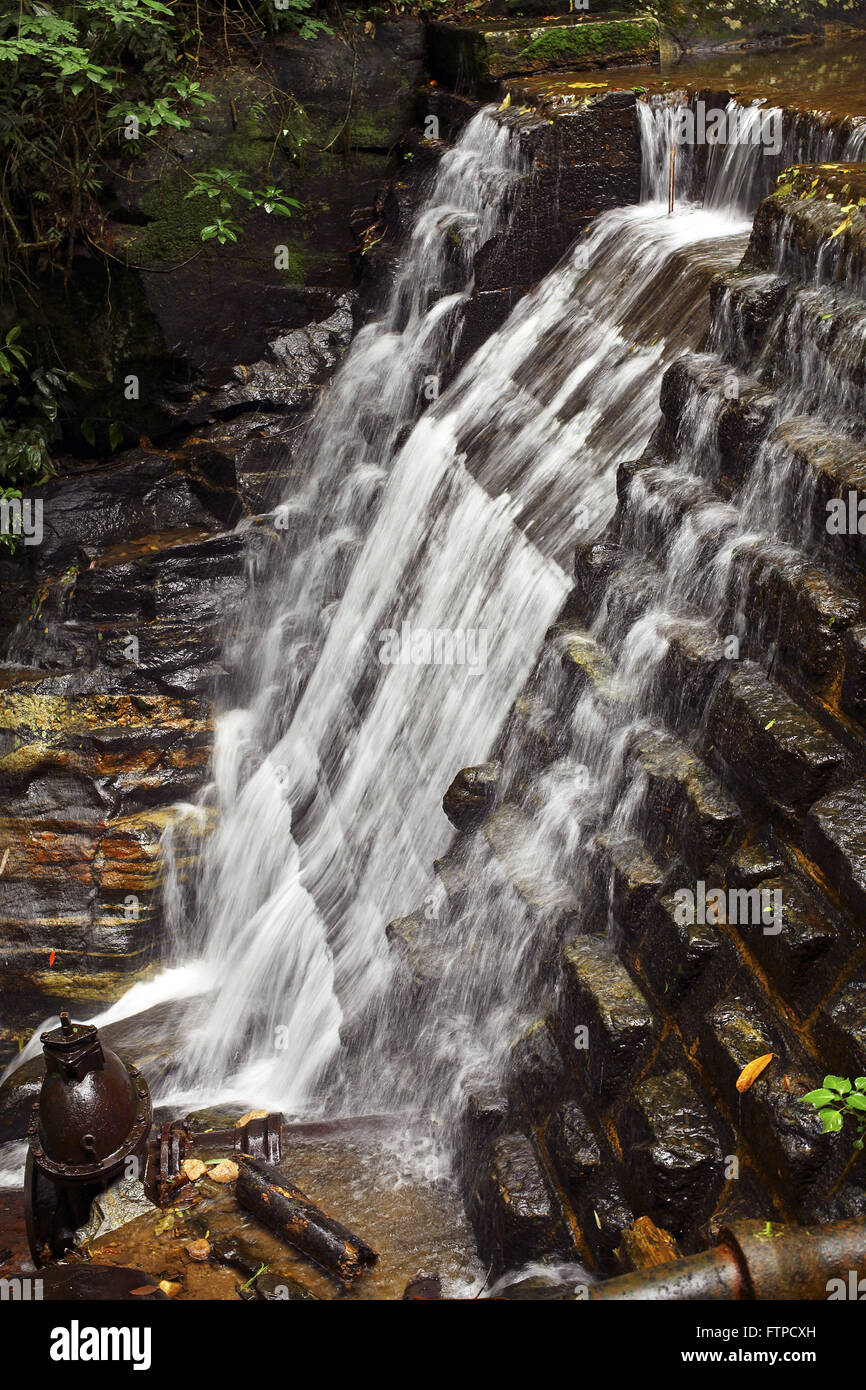 Puzzle cascade dans la forêt de Tijuca National Park - Alto da Boa Vista Banque D'Images