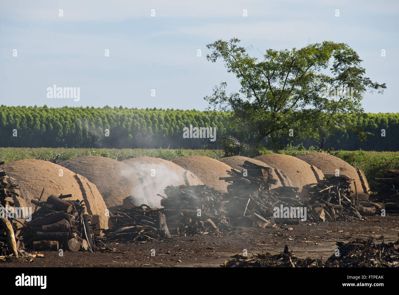 Les fours à charbon de l'ancienne région de savane d'eucalyptus Banque D'Images