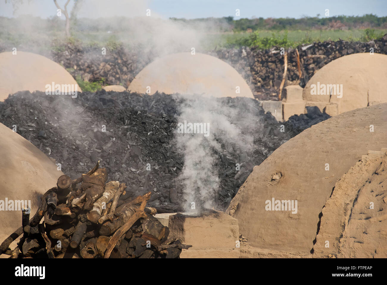 Les fours à charbon de l'ancienne région de savane d'eucalyptus Banque D'Images