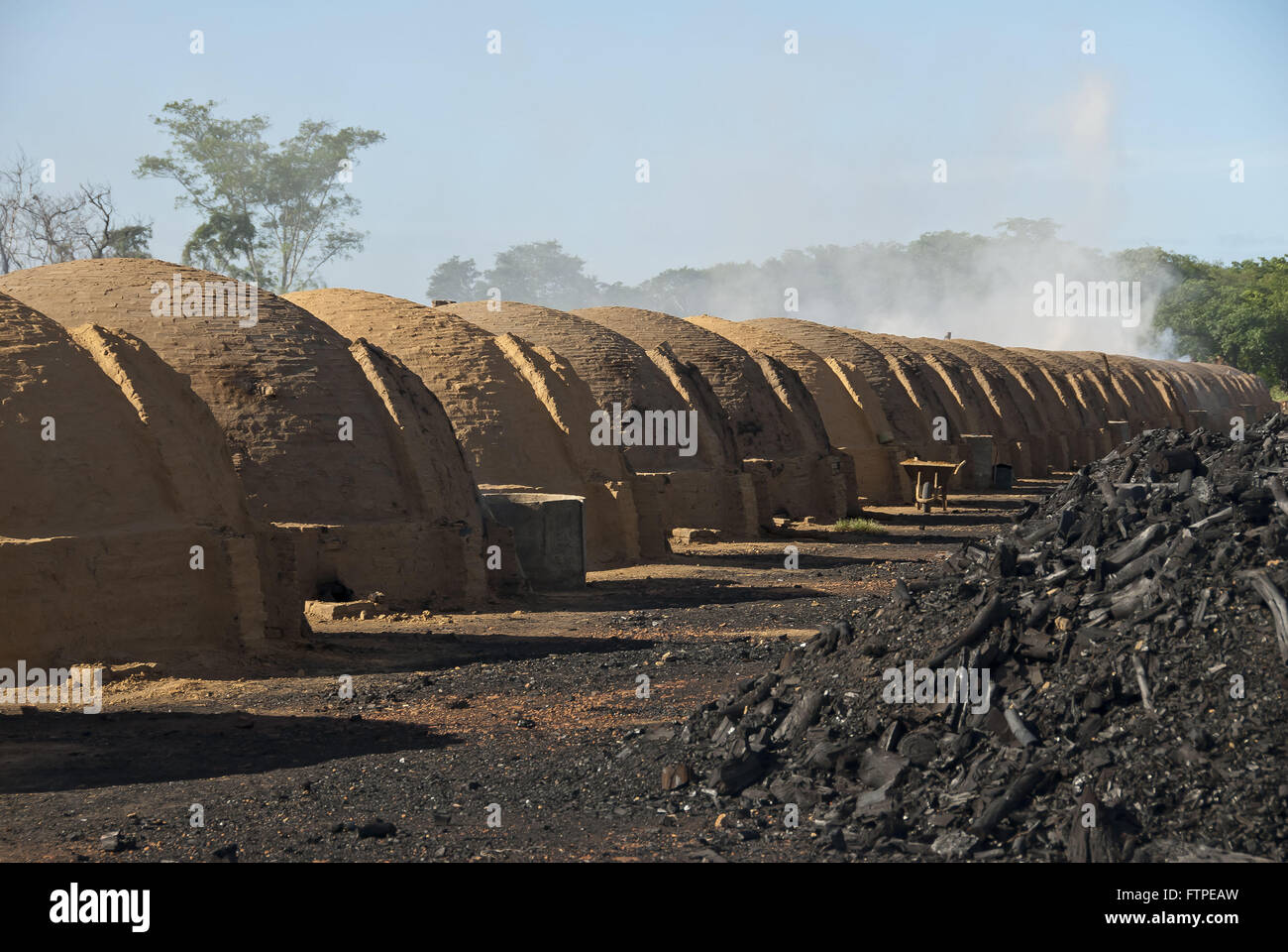 Les fours à charbon de l'ancienne région de savane d'eucalyptus Banque D'Images