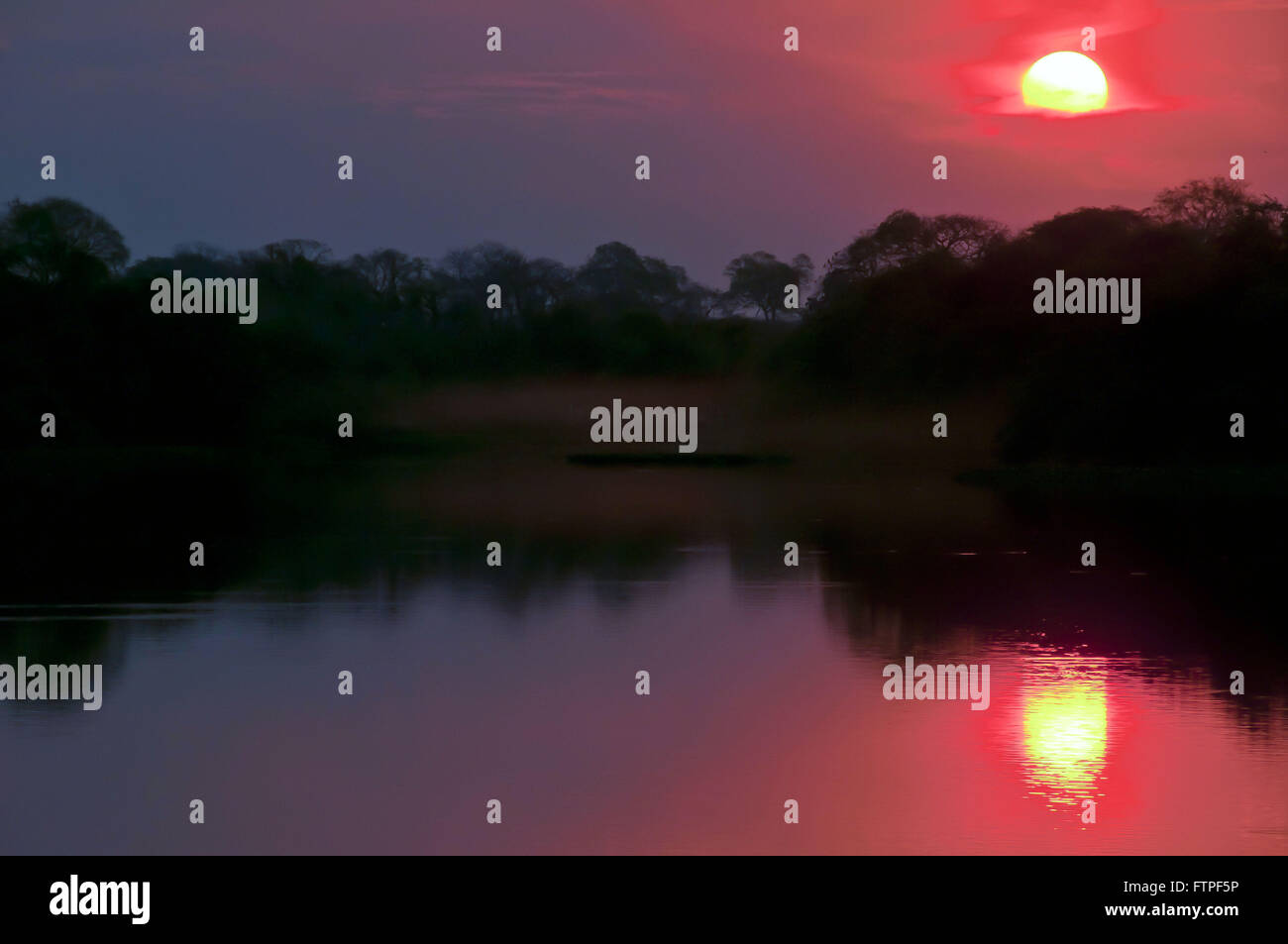 Paysage dans l'étang pour les couchers de soleil à Pantanal Banque D'Images