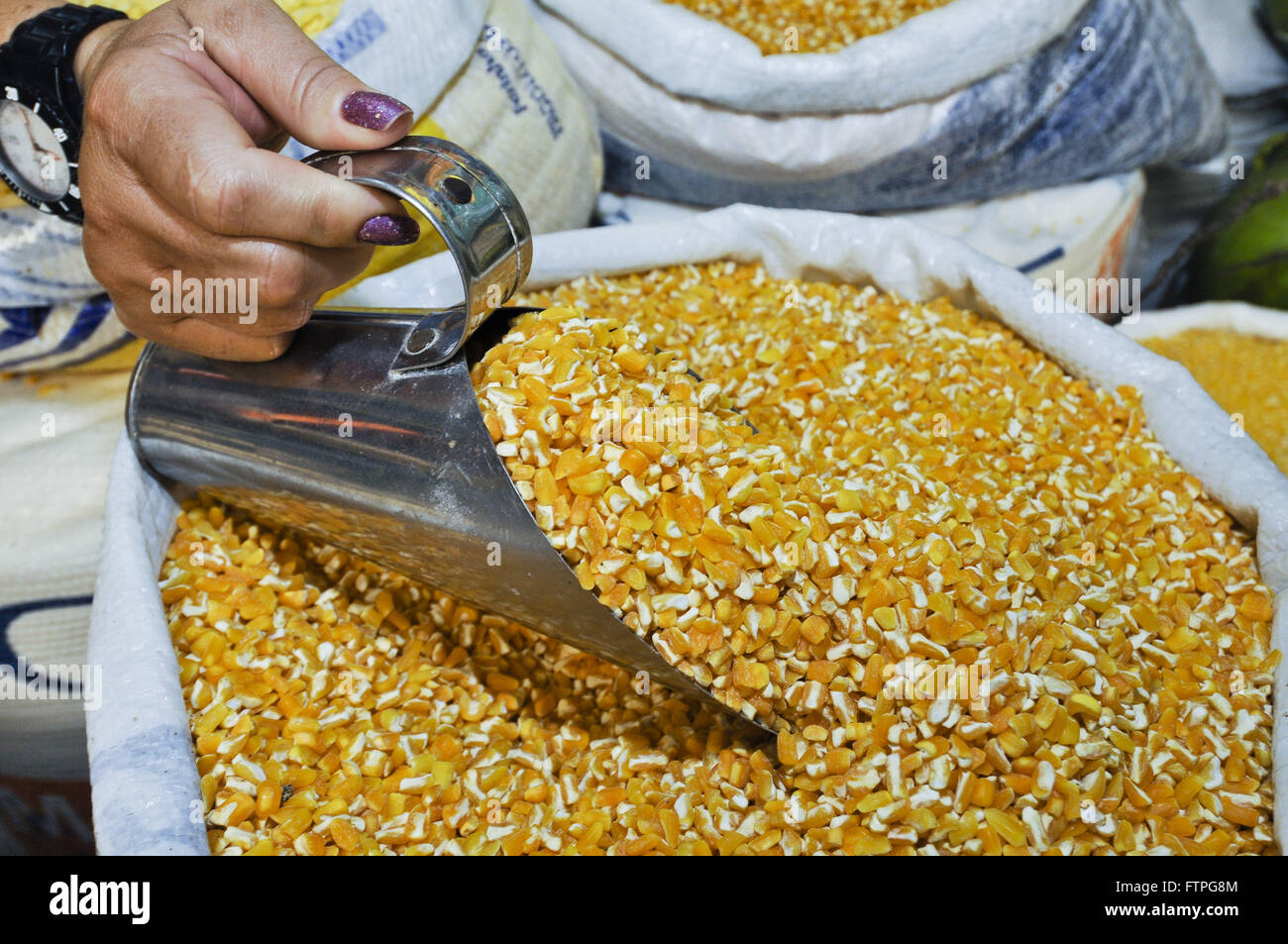 Mao holding mesurée avec le maïs broyé dans City Market - la région rugueuse Banque D'Images