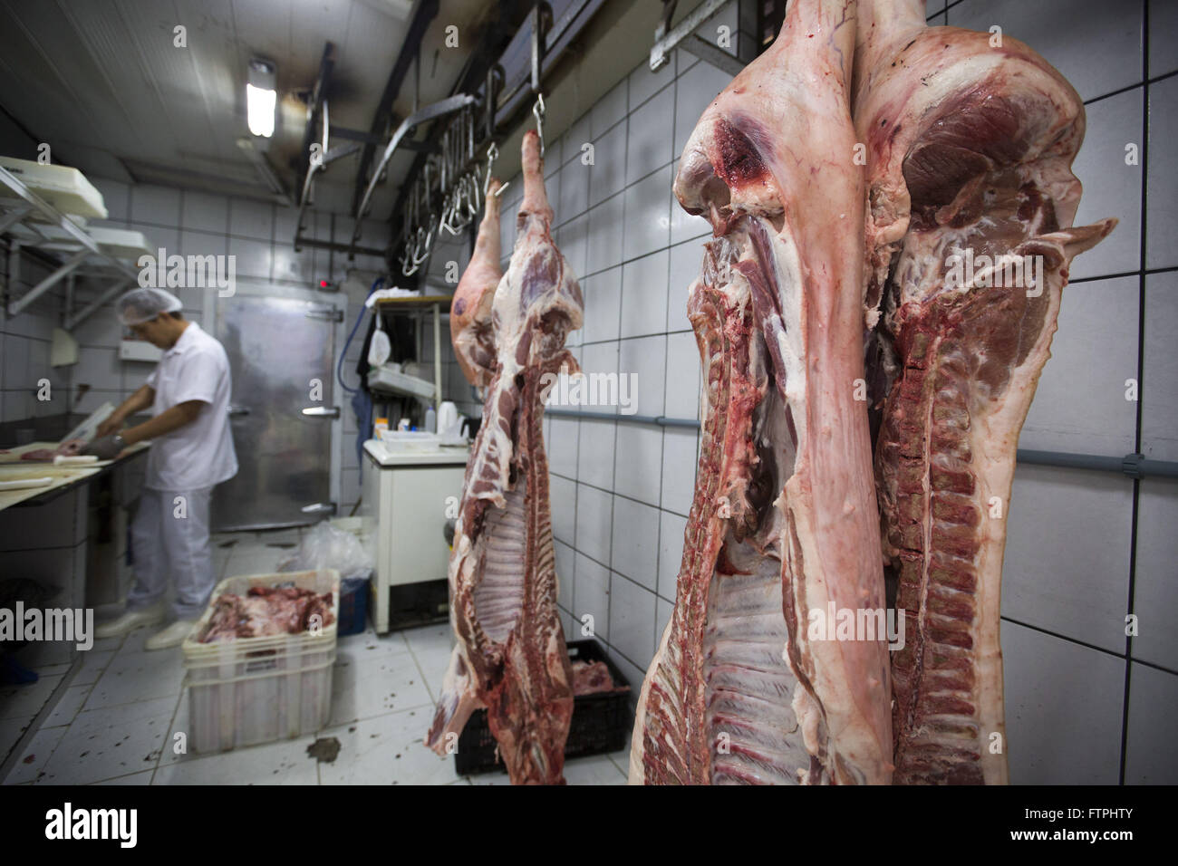 Les porcs à vendre dans les boucheries du Marché Municipal - centre-ville Banque D'Images