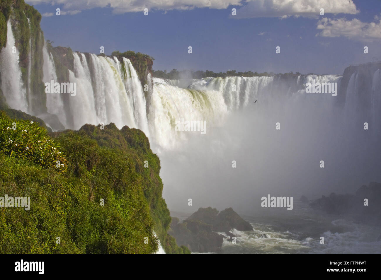 Iguacu Falls dans le Parc National Iguaçu Banque D'Images