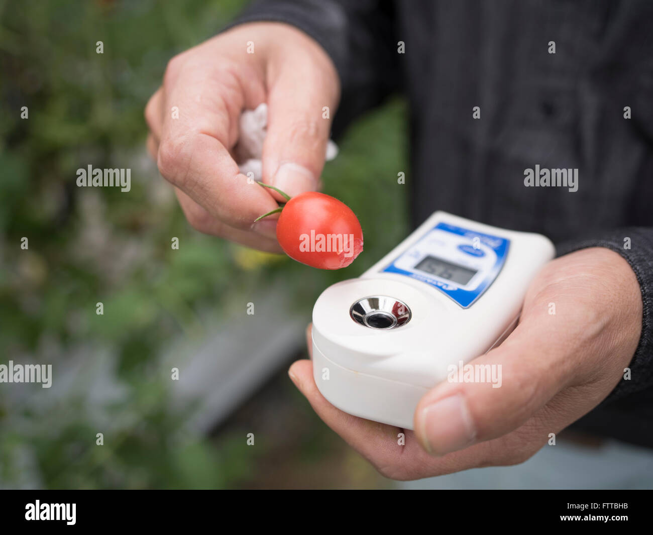 Numérique Atago, Brix, Pocket, Réfractomètres à main pour mesurer la douceur des tomates Banque D'Images
