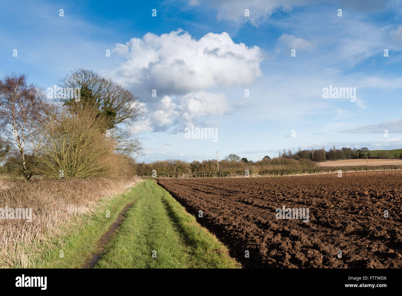 Misk Hills ,Hucknall Dorset, Royaume-Uni. Banque D'Images