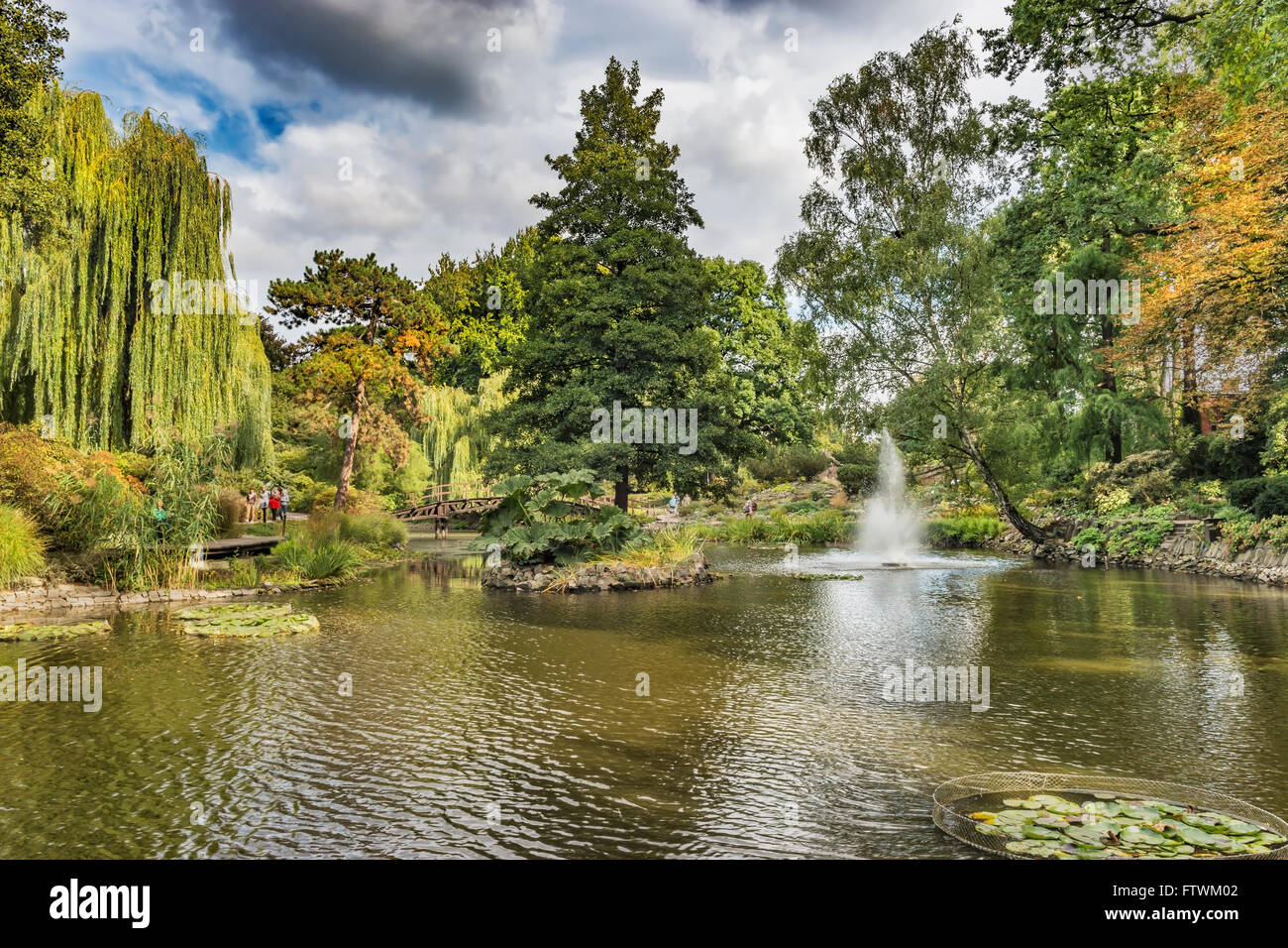 Le Jardin botanique de l'Université de Wroclaw est situé sur l'île de la Cathédrale, Wroclaw, Pologne, Europe Banque D'Images