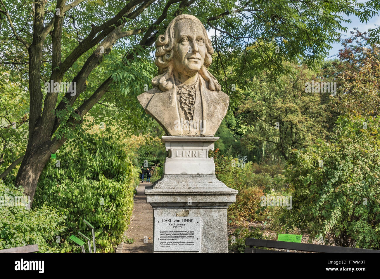 Le buste du naturaliste suédois Carl von Linne (1707-1778) est situé dans le Jardin botanique de Wroclaw, Pologne, Europe Banque D'Images