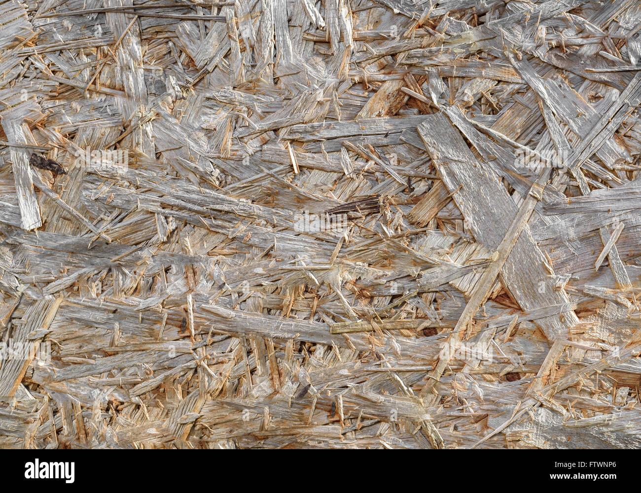 Détail de l'arrière-plan du panneau de bois recyclé. Banque D'Images