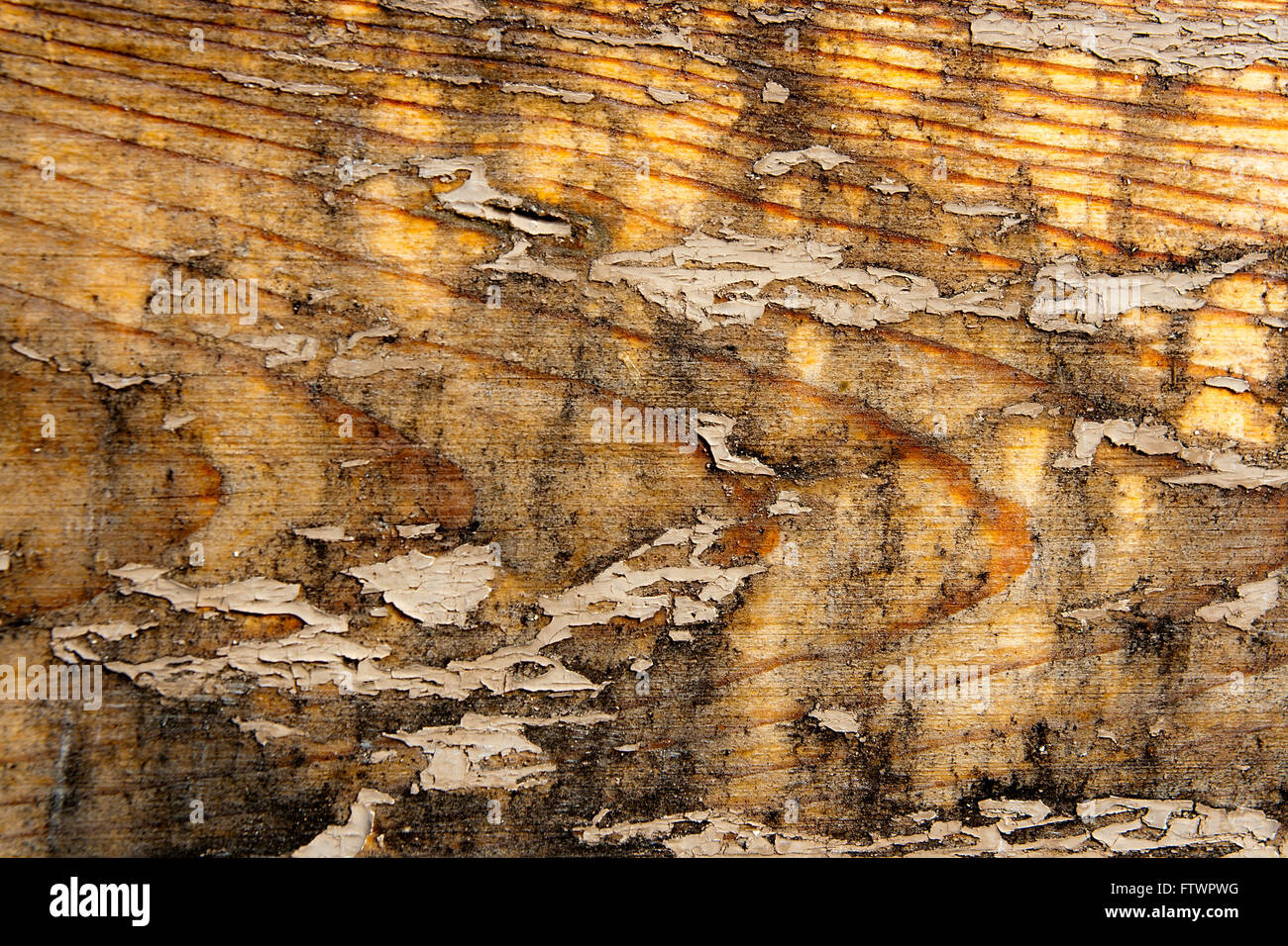 Texture bois avec peinture la couleur est arrachée. Peinture écaillée - texture de fond en bois. Banque D'Images