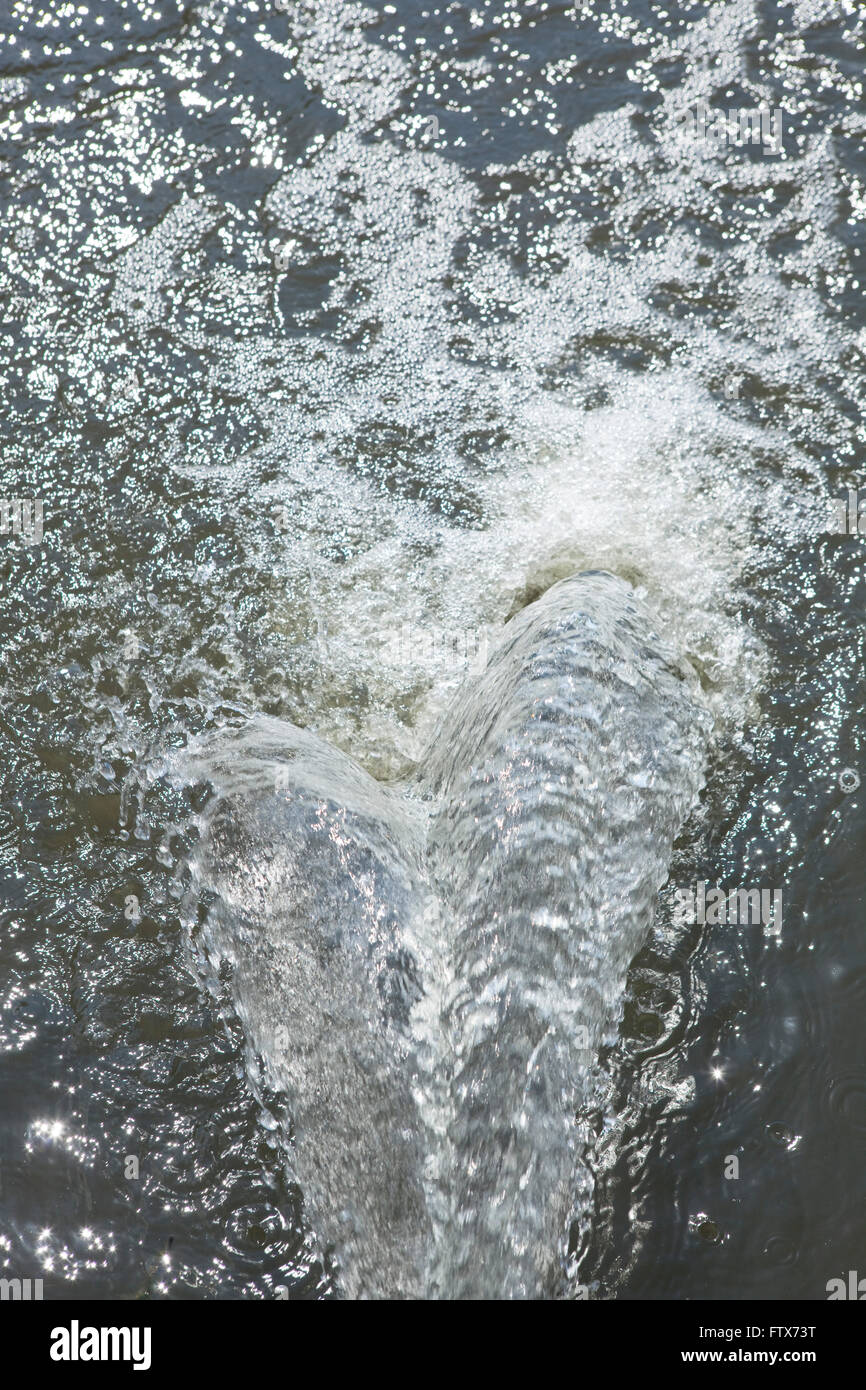 Un flux d'eau est pompée dans un ruisseau ou rivière à partir de la banque en tant que l'eau frappe la surface de la rivière il frothes la création de bulles d'adn met en lumière étincelante sur la surface. Banque D'Images