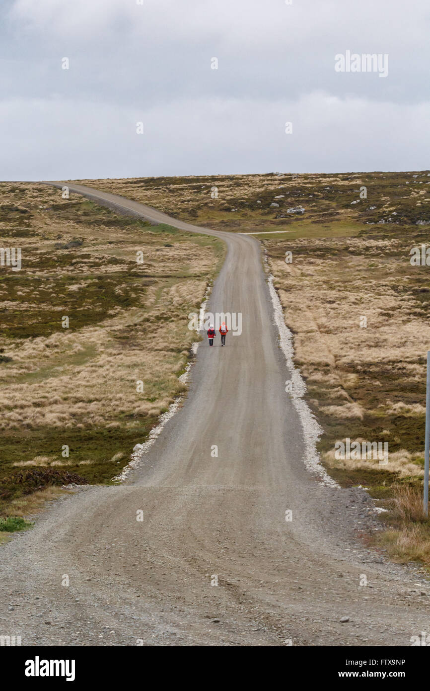 Les touristes PRÈS DE GIPSY COVE, PORT STANLEY, îles Falkland - CIRCA DÉCEMBRE 2015. Banque D'Images