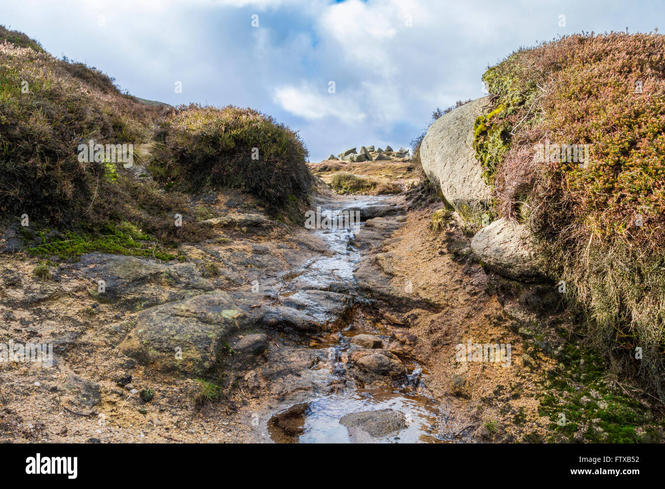 Érosion de la lande par les randonneurs. Une usure de la tourbe en marchant pour révéler la pierre meulière rock ci-dessous. Kinder Scout, Derbyshire, Angleterre, RU Banque D'Images