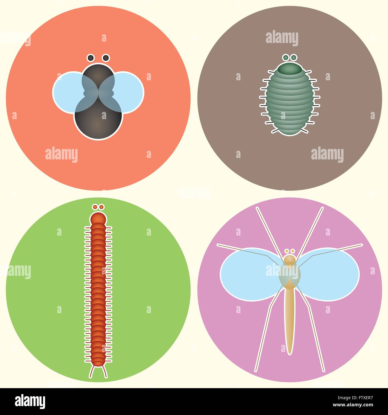 Collection d'insectes volants et de sabordage : une mouche, un comprimé bug, un mille-pattes et une cranefly. Illustration de Vecteur