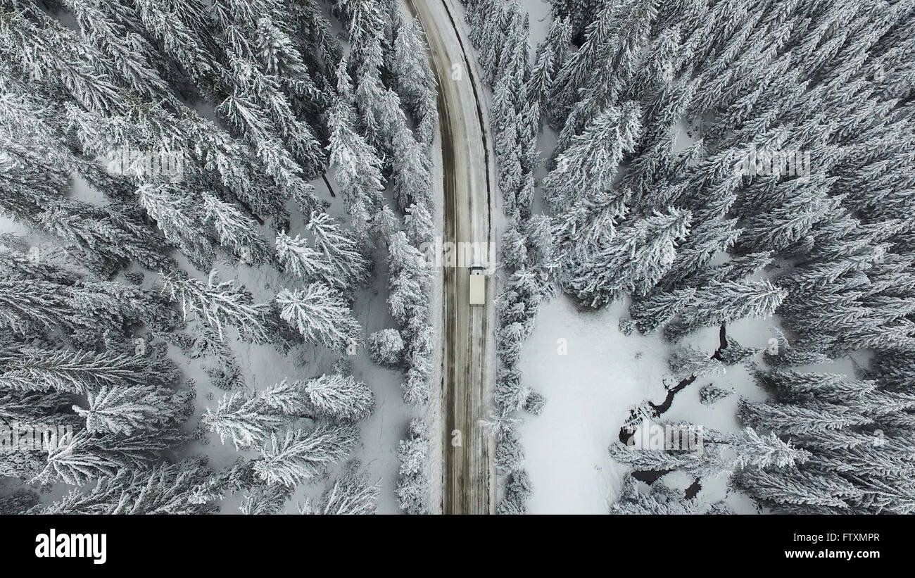 Vue aérienne d'une forêt enneigée avec de hauts pins et route avec une voiture en hiver. Banque D'Images