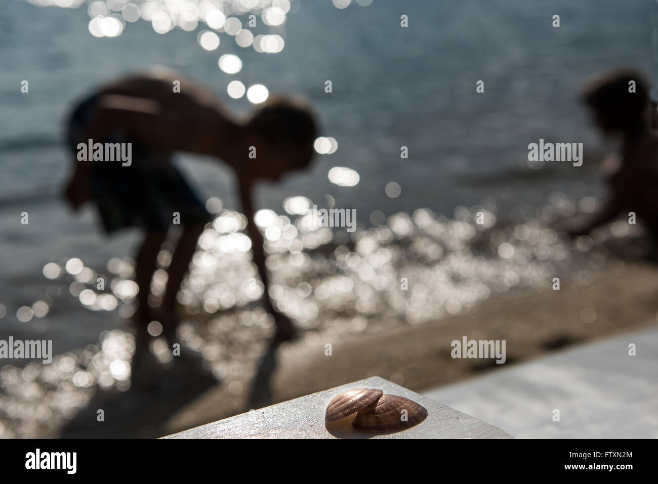 Deux enfants la collecte de coquillages sur la plage Banque D'Images