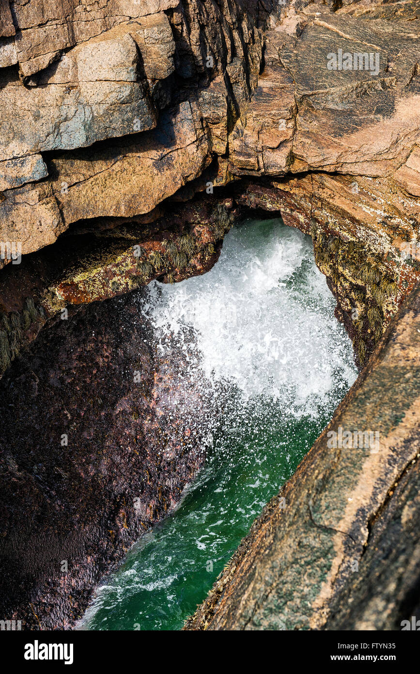 Thunder Hole, l'Acadia National Park, Maine, USA Banque D'Images