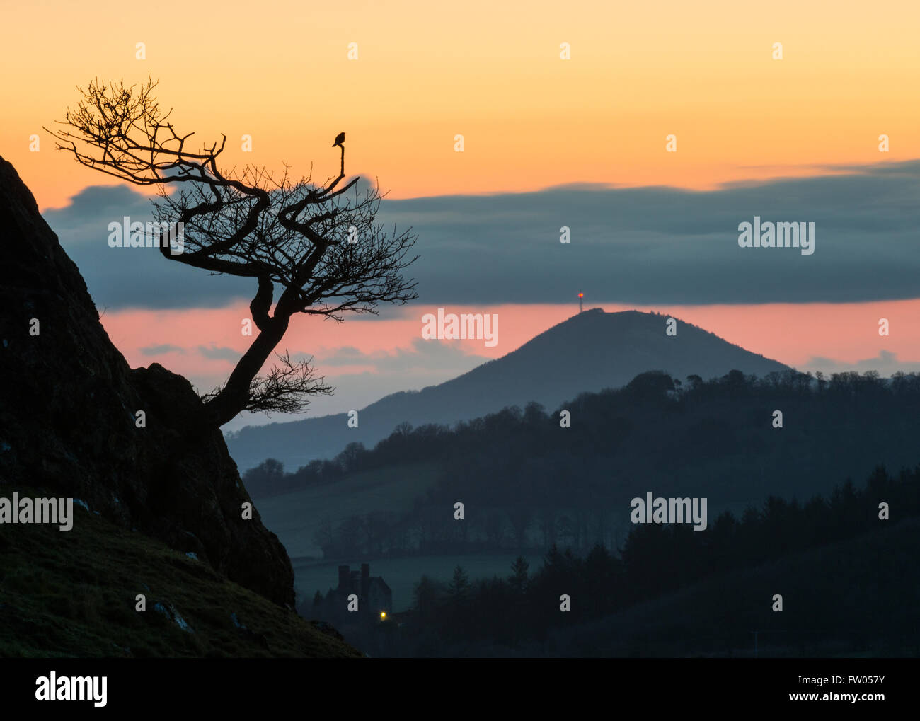 Le Shropshire, au Royaume-Uni. Le 31 mars 2016. Météo France : un oiseau de la sunrise montres Lawley en Afrique du Shropshire, avec le Wrekin dans l'arrière-plan. Crédit : John Hayward/Alamy Live News Banque D'Images