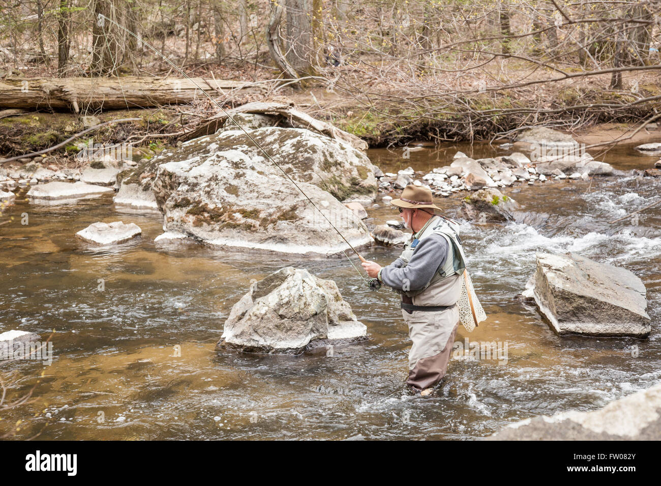 Angler prendre et relâcher sur la branche sud de la rivière Raritan dans New York, New Jersey. Banque D'Images