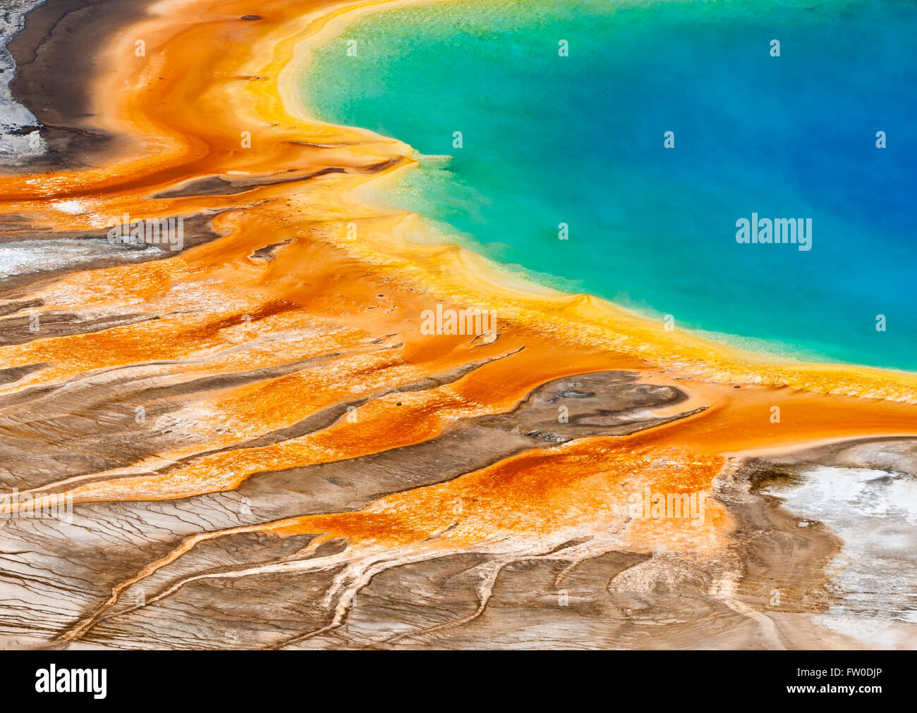 Grand Prismatic Spring, le Parc National de Yellowstone, Wyoming, USA Banque D'Images
