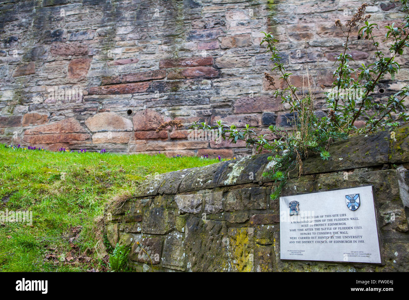Édimbourg, Écosse - 9 mars 2016 : une plaque soulignant l'une des autres sections du mur historique sur l'Pleasanc Flodden Banque D'Images