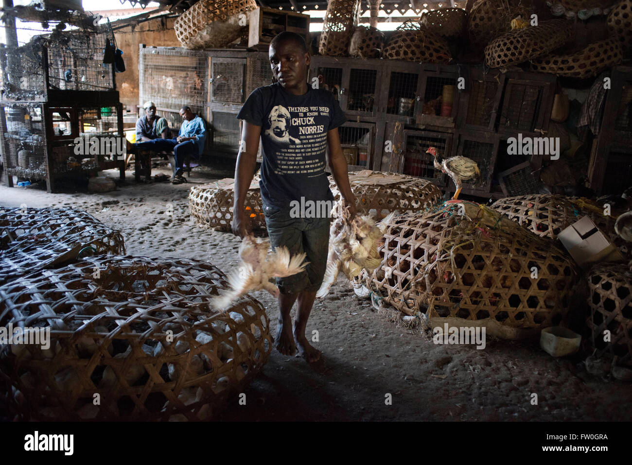 Vente de poulets dans le marché de Stone Town, Zanzibar, Tanzanie. Banque D'Images