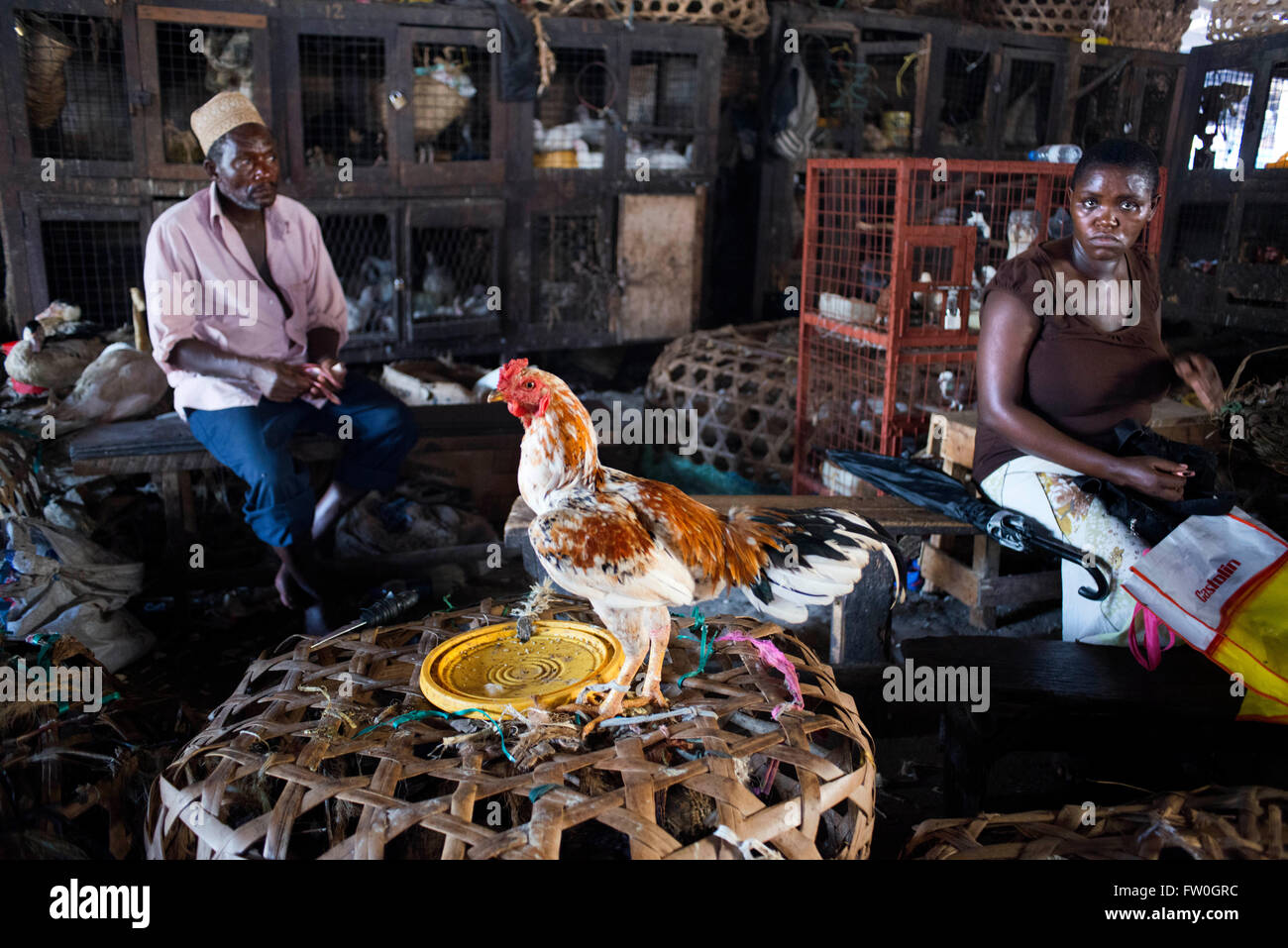 Vente de poulets dans le marché de Stone Town, Zanzibar, Tanzanie. Banque D'Images