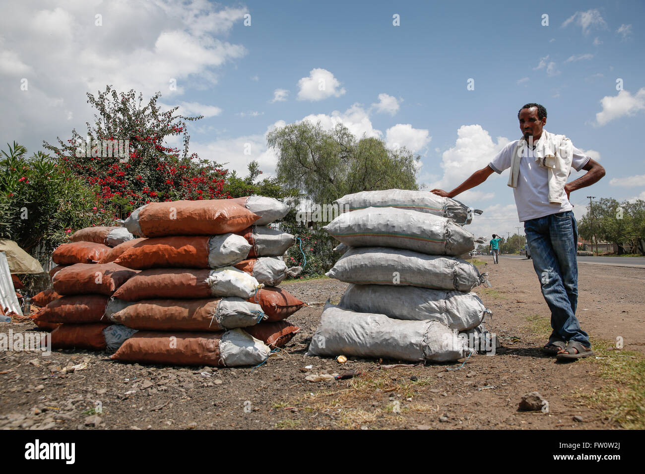 Sur la route d'Addis Abeba à Ziway, Éthiopie, Octobre 2013 : vente de charbon de bois sacs de charbon de la marine marchande. Banque D'Images