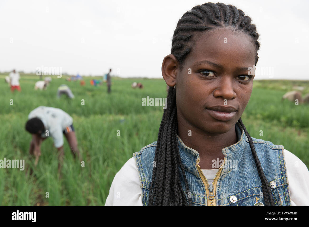 Meki River Delta, l'Éthiopie, octobre 2013 Meborat Lena, 19 ans, a travaillé sur cette ferme d'oignon pendant un mois. Elle est en 12e année et veut aller à l'université pour devenir un agent de vulgarisation agricole. Photographie par Mike Goldwater Banque D'Images